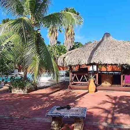 Woodstock Palmresort Curacao Willemstad Exteriör bild