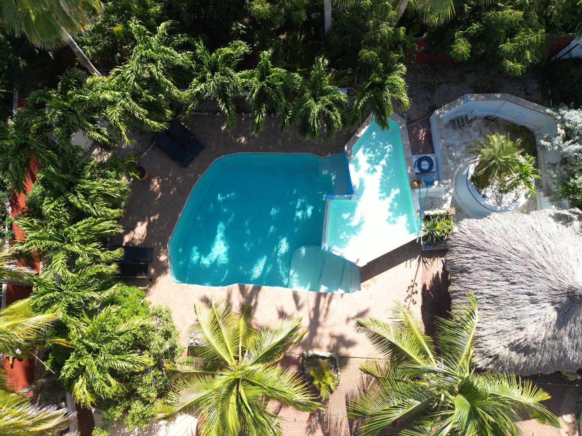 Woodstock Palmresort Curacao Willemstad Exteriör bild